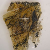 Космический камень проливает свет на природу загадочного земного вещества